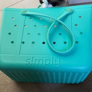 Teal Small Pet Carrier